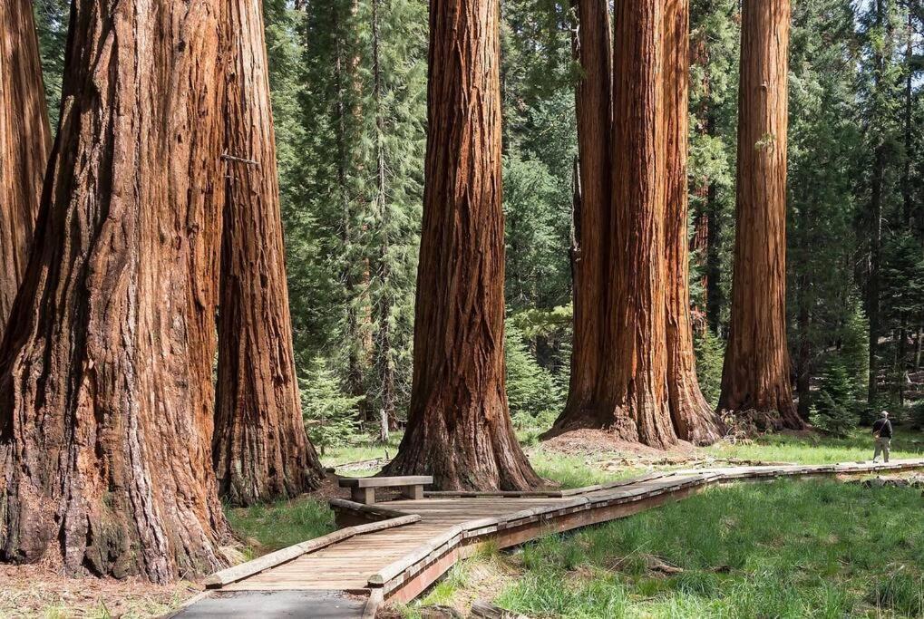 Sequoia Cabin By The River Three Rivers Exteriér fotografie