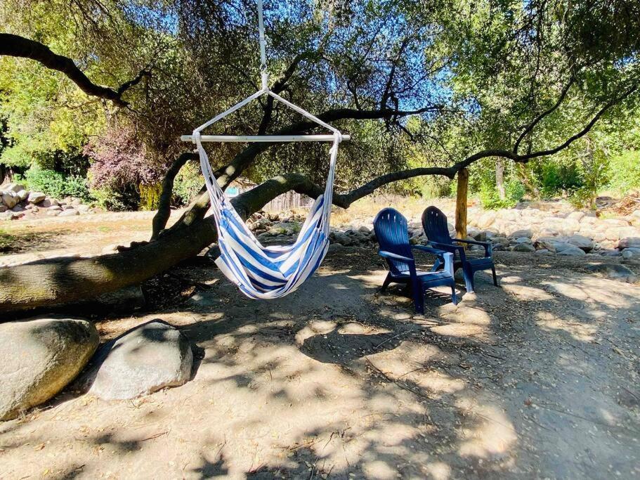 Sequoia Cabin By The River Three Rivers Exteriér fotografie