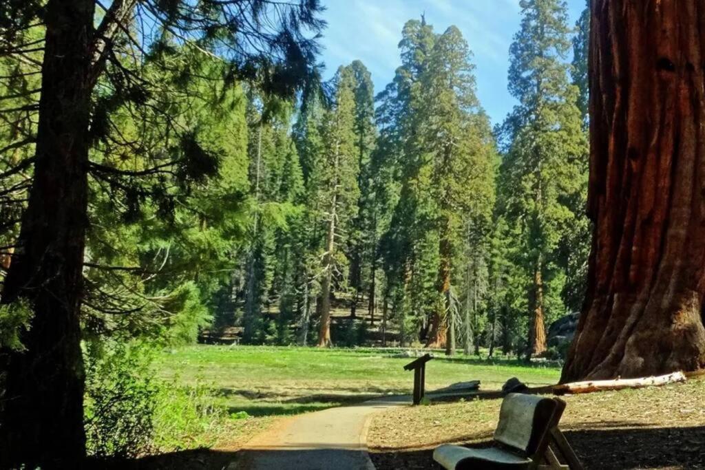 Sequoia Cabin By The River Three Rivers Exteriér fotografie