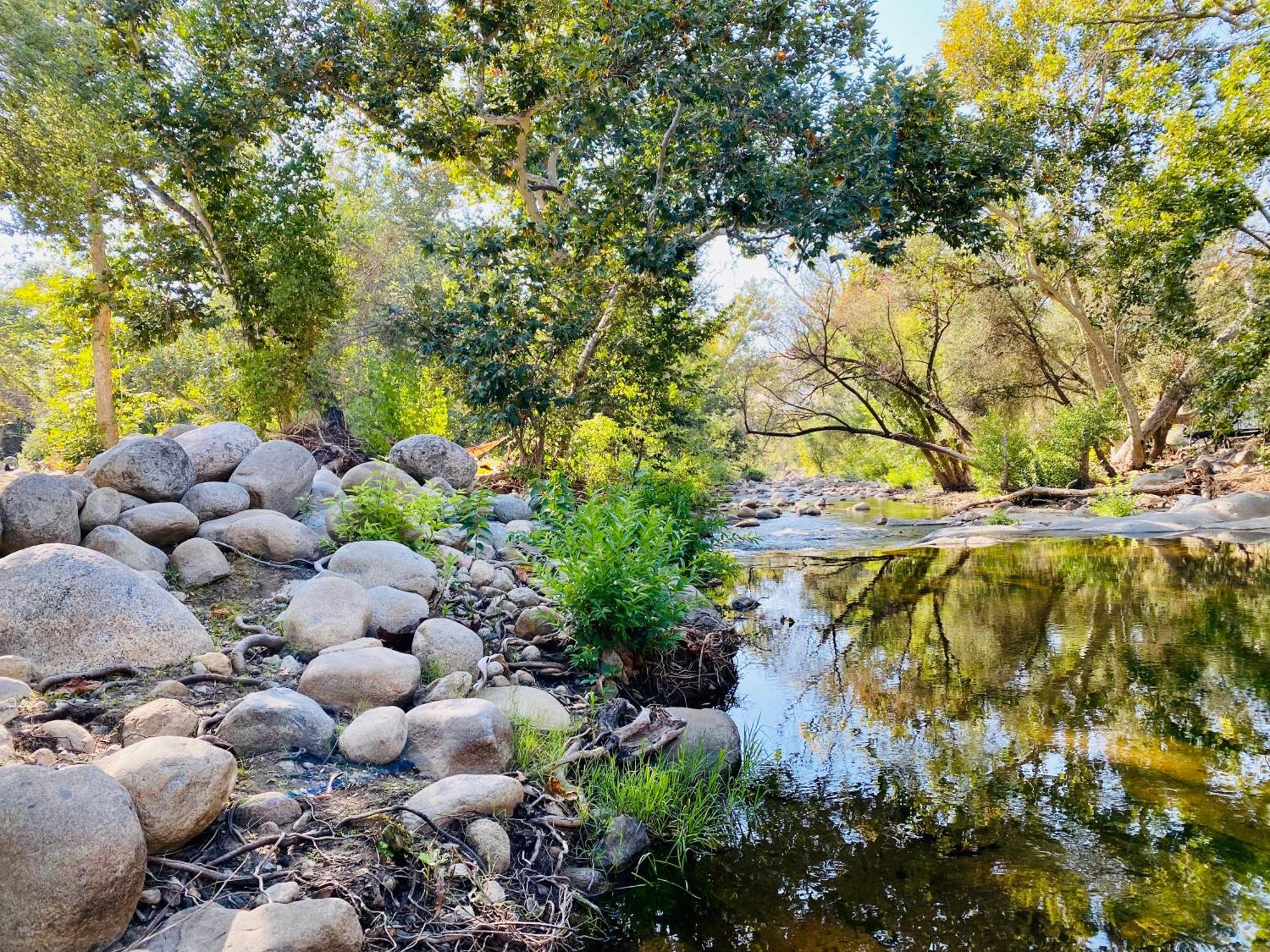 Sequoia Cabin By The River Three Rivers Exteriér fotografie